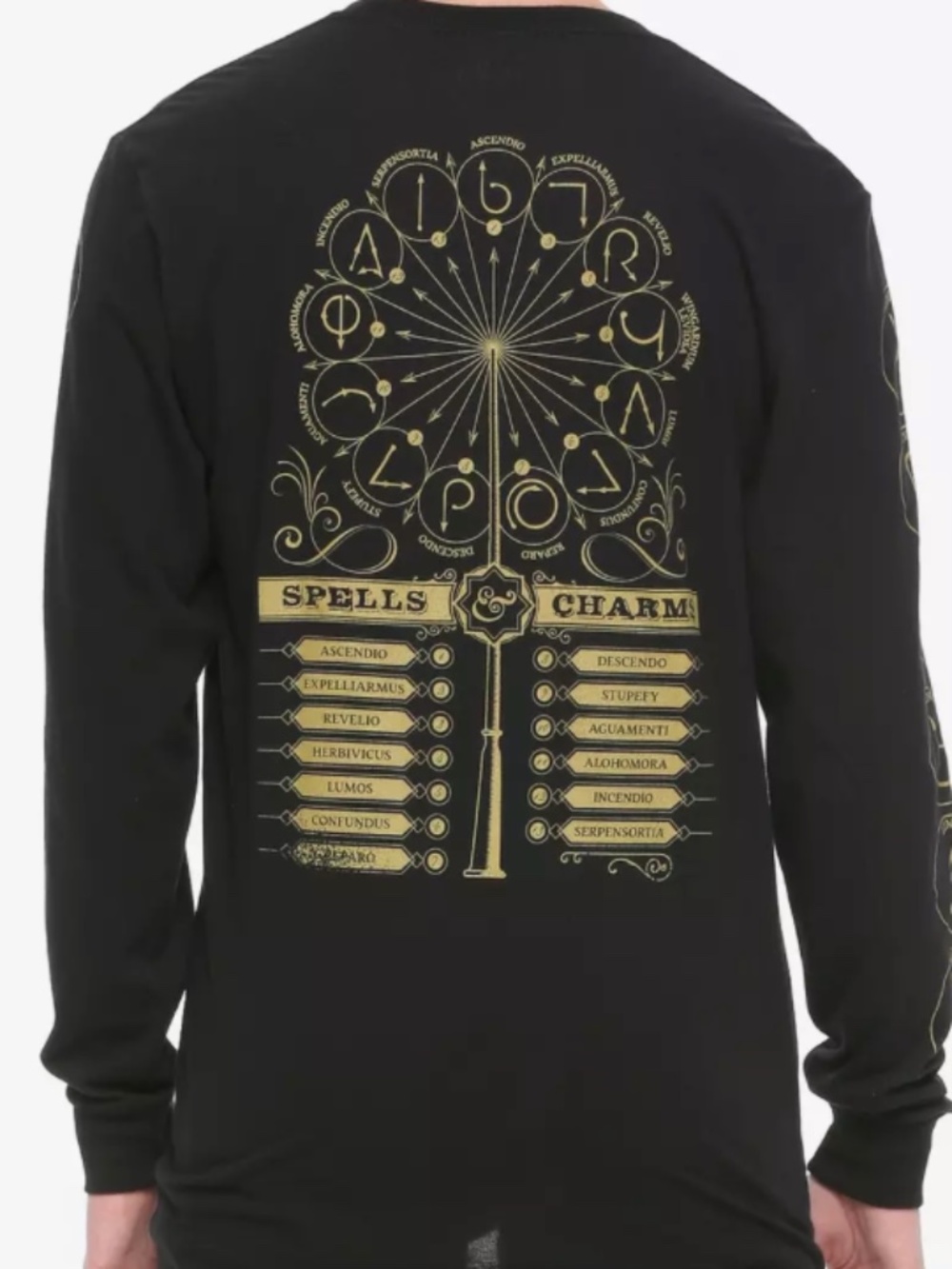 Harry Potter Black & Gold Graphic Tee